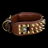 A&C Dog Collars handcrafted Bully emblem collar with spikes