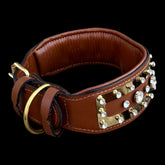 A&C Dog Collars gold wolf emblem collar with crystal details