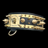 Luxury gold steel plate collar for American Bully and Cane Corso
