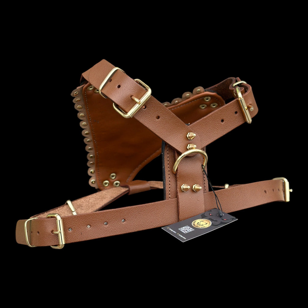 Luxury Handmade Brown Leather Dog Chest Harness with Gold Steel Plate, Bully Head & Lion Logo – Perfect for Cane Corso, Rottweiler, Kangal, Doberman, Bully, Malinois & Large Breeds