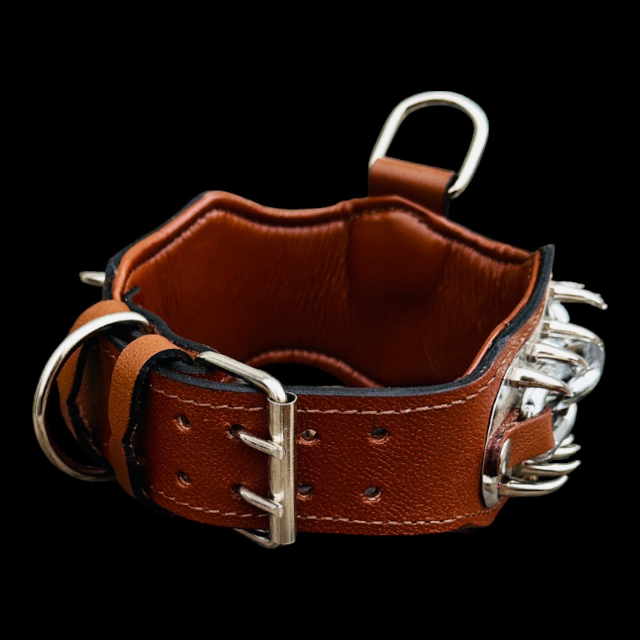 Durable heavy collar for training and photo shoots.