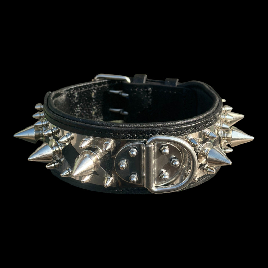 American Bully chrome spiked dog collar