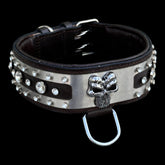 Durable stainless steel Punisher dog collar UPS Express delivery