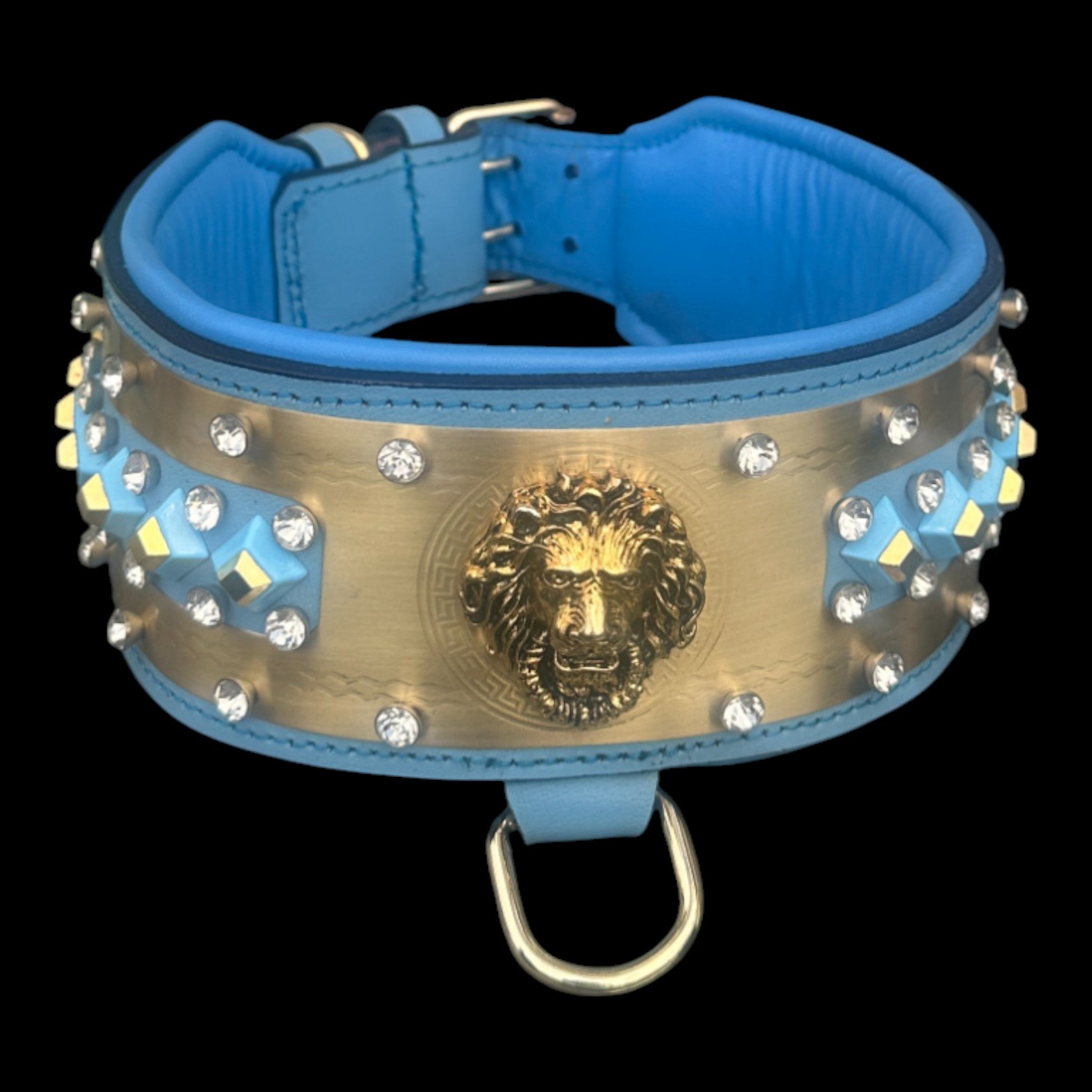 Elegant turquoise leather dog collar for strong breeds.