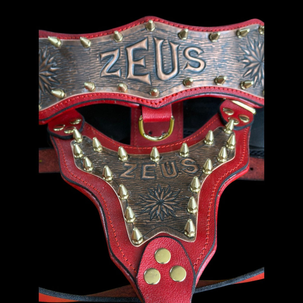 Handmade Copper Dog Collar & Harness Set – Personalized Red Leather Spiked Set