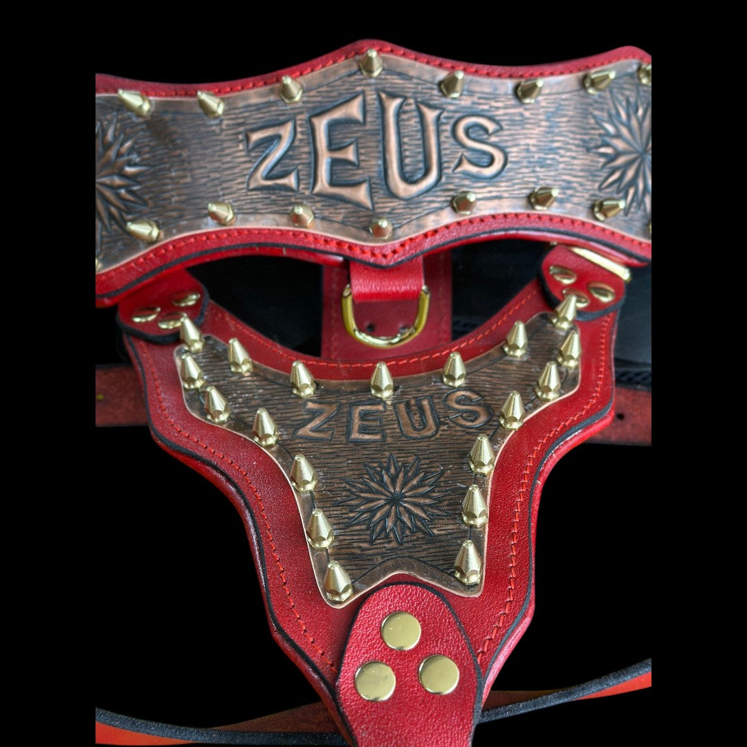 Handmade Copper Dog Collar & Harness Set – Personalized Red Leather Spiked Set