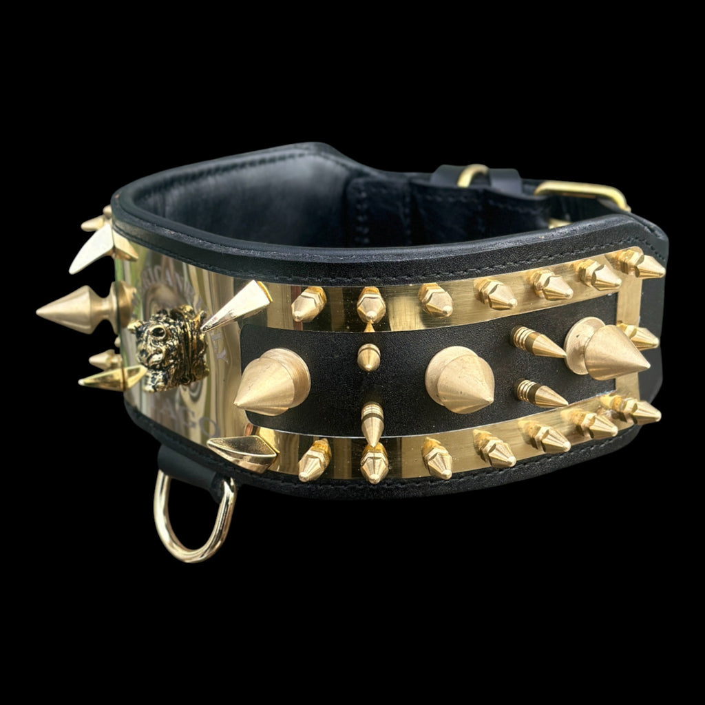 Custom engraved dog collar with large gold spikes