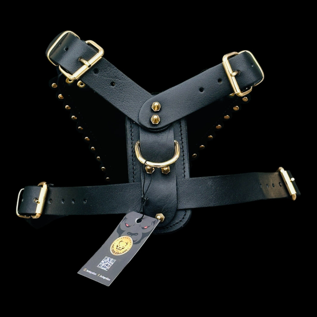 Luxury Handmade Dog Harness with Bully Head & Lion Logo – Black Leather, Gold Spikes, Heavy Duty for Large Breeds
