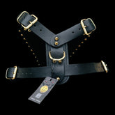 Luxury Handmade Dog Harness with Bully Head & Lion Logo – Black Leather, Gold Spikes, Heavy Duty for Large Breeds - A&C Dog Collars