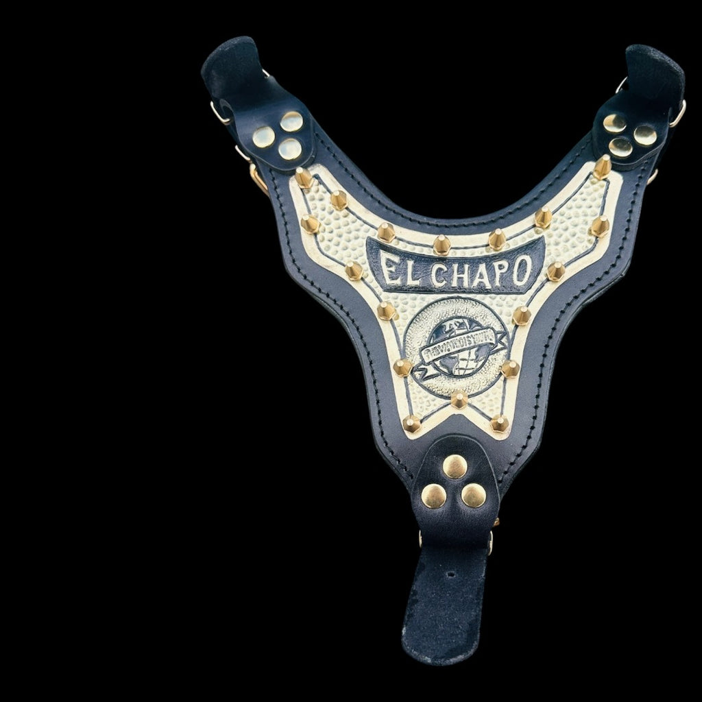 Personalized Black & Gold Leather Dog Collar & Harness Set – Handmade Spiked Design