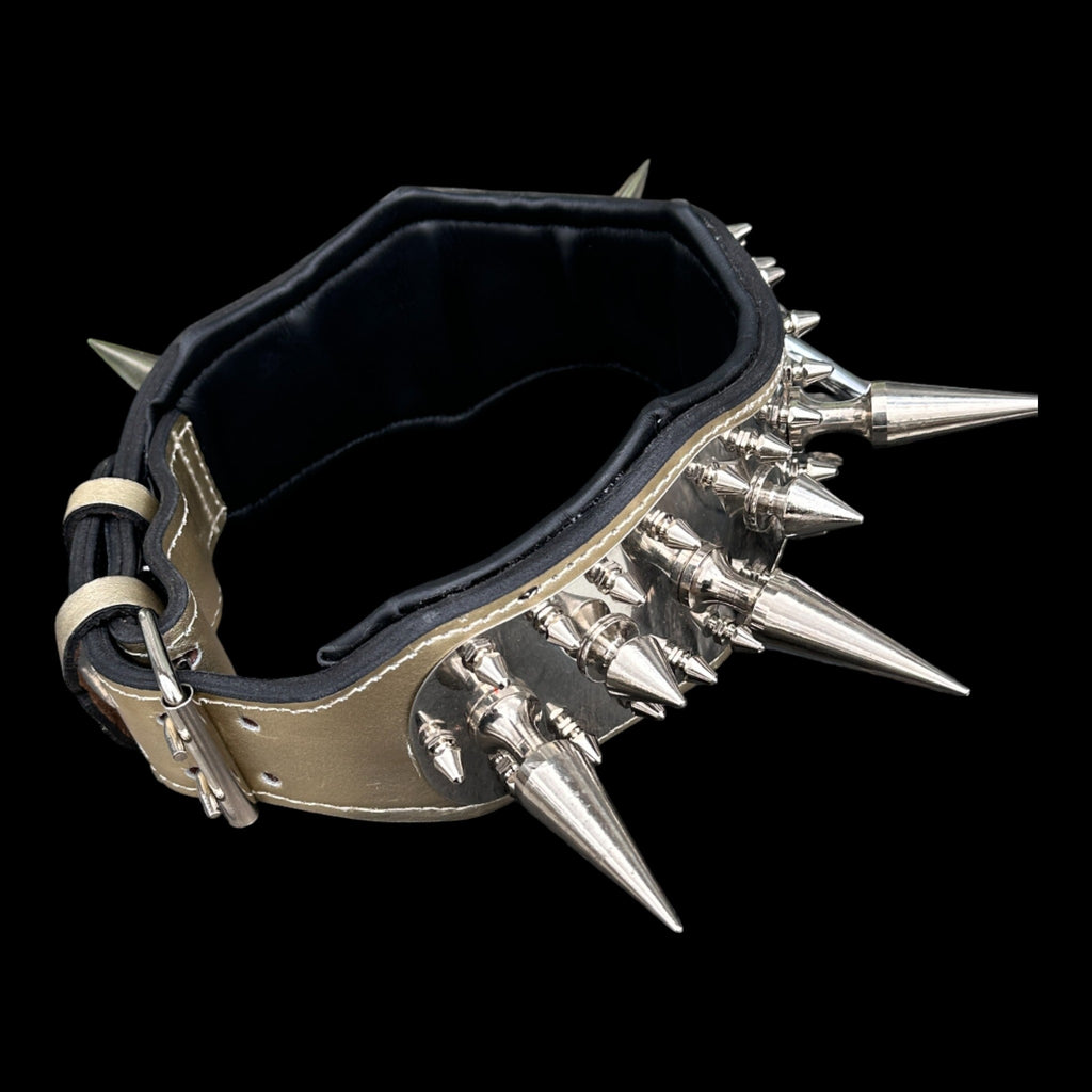 Cane Corso wearing Titan Edge collar