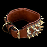 Bronze Armor Lion Collar - A&C Dog Collars