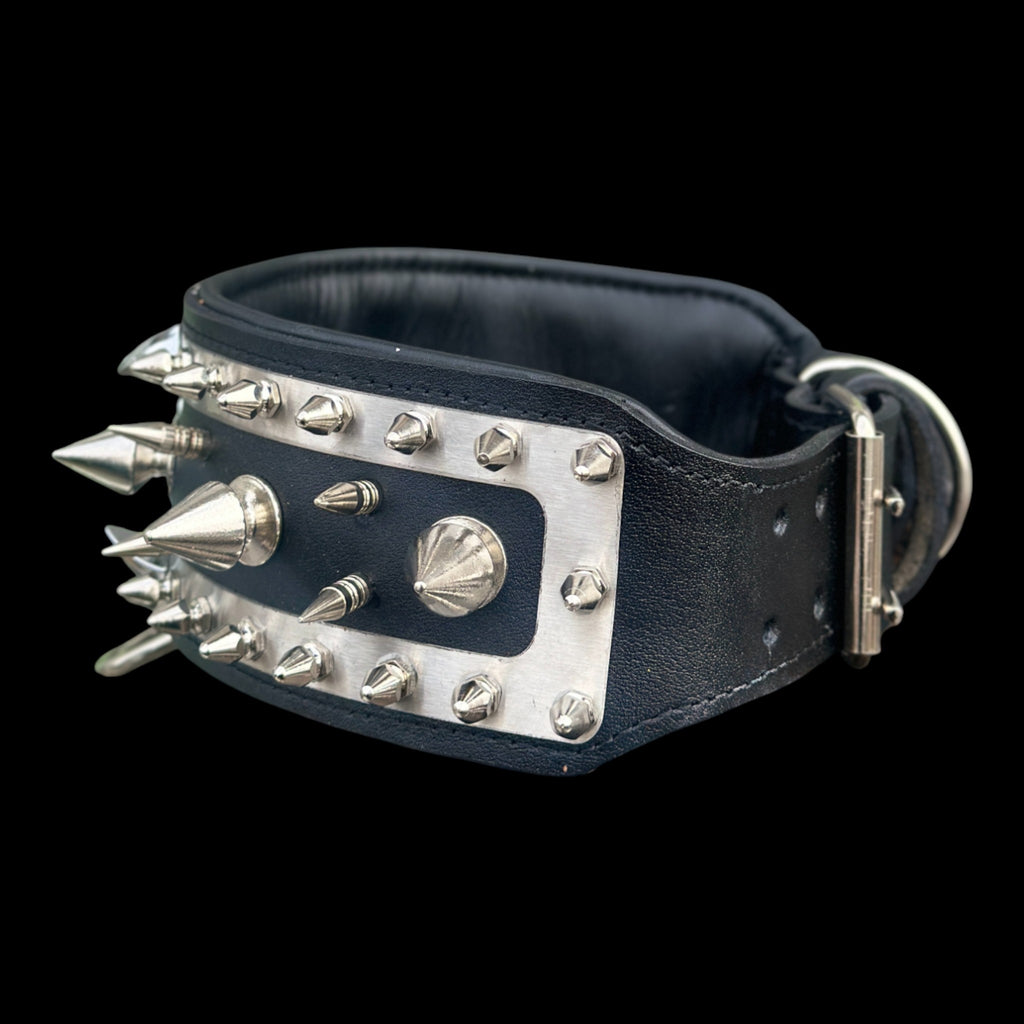 American Bully wearing Joker Steel collar