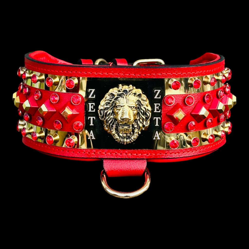 Red leather collar with gold plate and studs