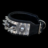 Black buffalo leather dog collar with stainless-steel plate