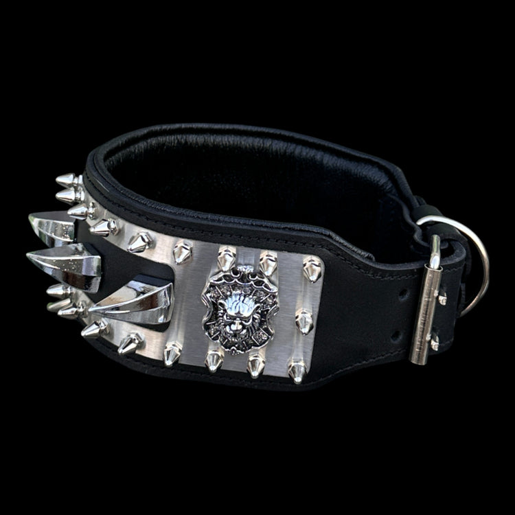 Black buffalo leather dog collar with stainless-steel plate