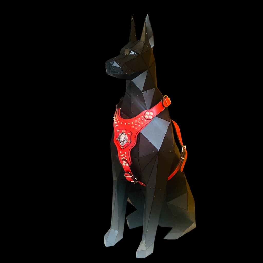 Spiked lion emblem chest harness for American Bully