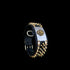 Royal silver lion dog collar handmade design