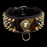 Golden Lion Armor Dog Collar - A&C Dog Collars