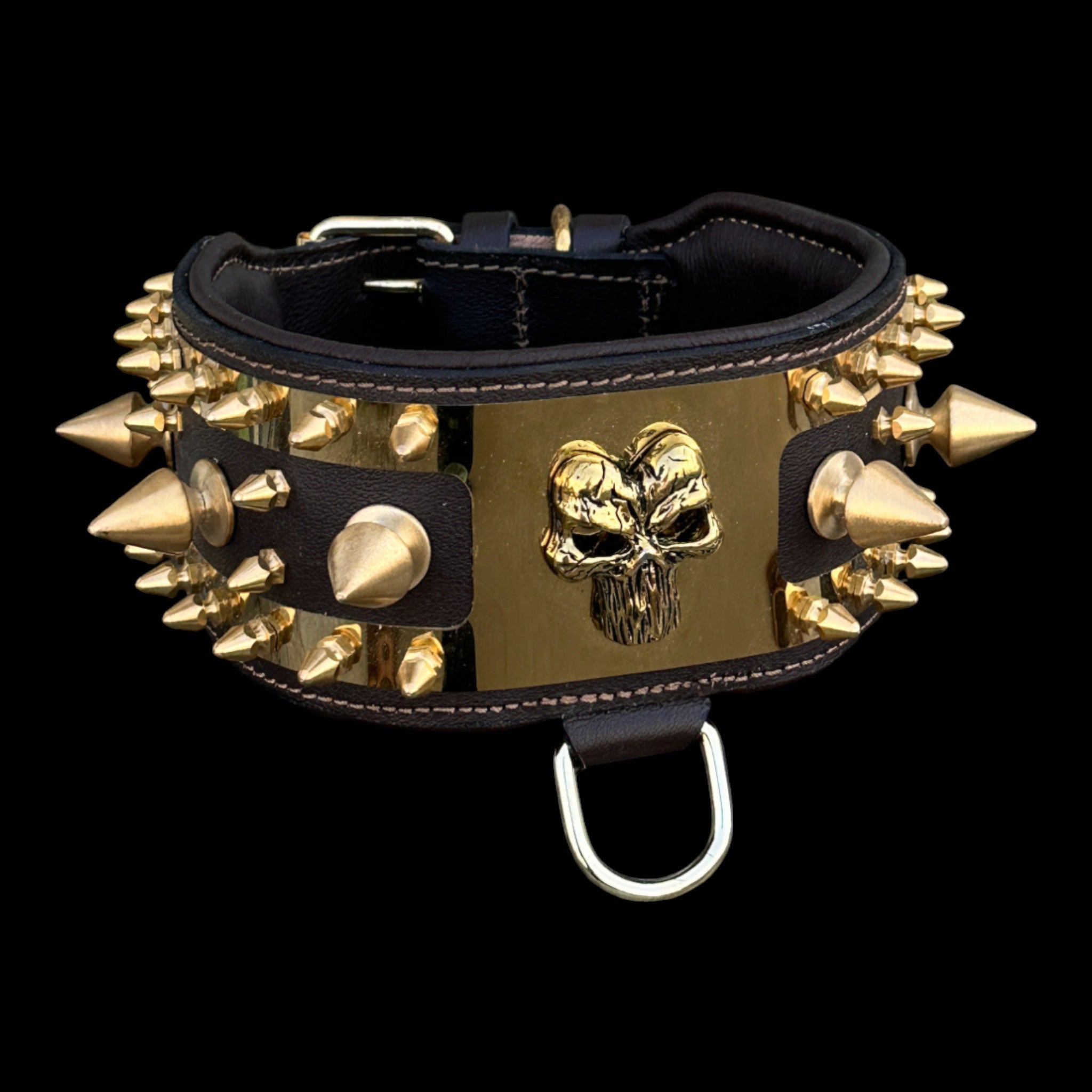 Golden Punisher Elite Dog Collar