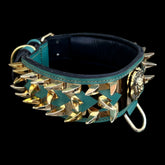 2.36 inch wide gold-plated stainless-steel dog collar UPS delivery