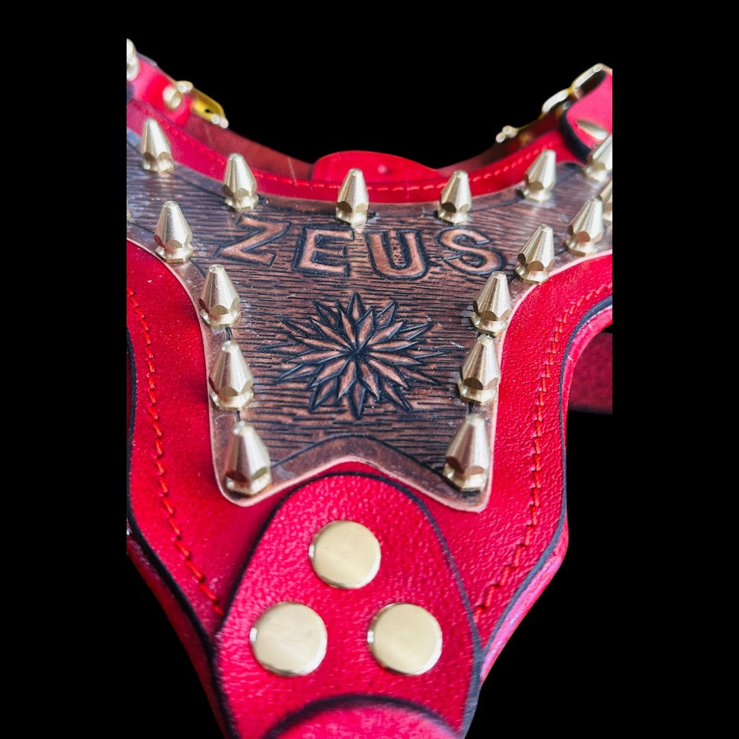 Handmade Copper Dog Collar & Harness Set – Personalized Red Leather Spiked Set
