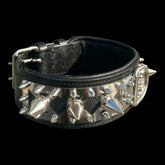 Strong breed heavy-duty collar with D-ring