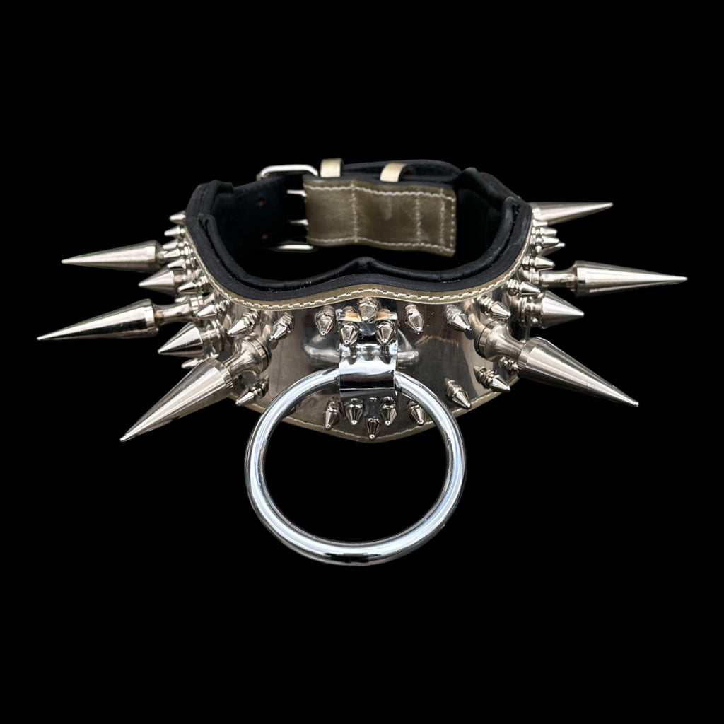 American Bully chrome spike extreme dog collar
