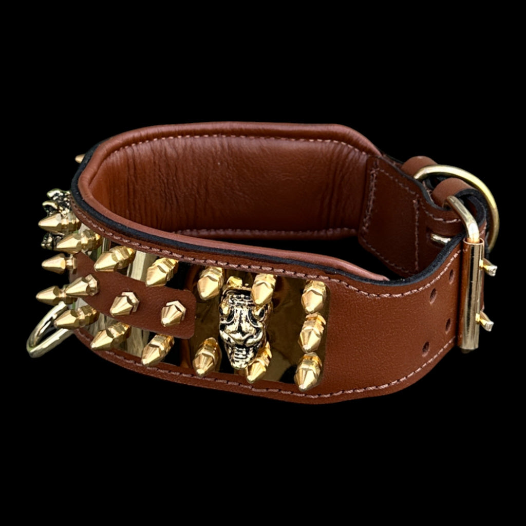 Luxury gold-plated dog collar for Kangal and Belgian Malinois