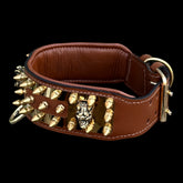 Luxury gold-plated dog collar for Kangal and Belgian Malinois