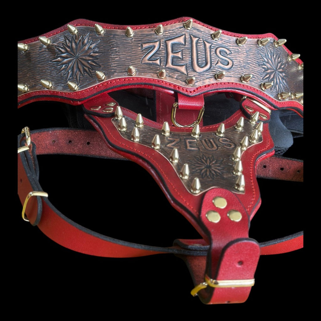 Handmade Copper Dog Collar & Harness Set – Personalized Red Leather Spiked Set