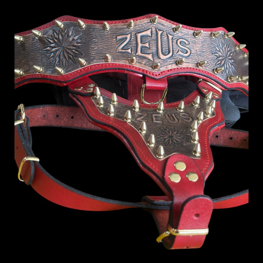 Handmade Copper Dog Collar & Harness Set – Personalized Red Leather Spiked Set