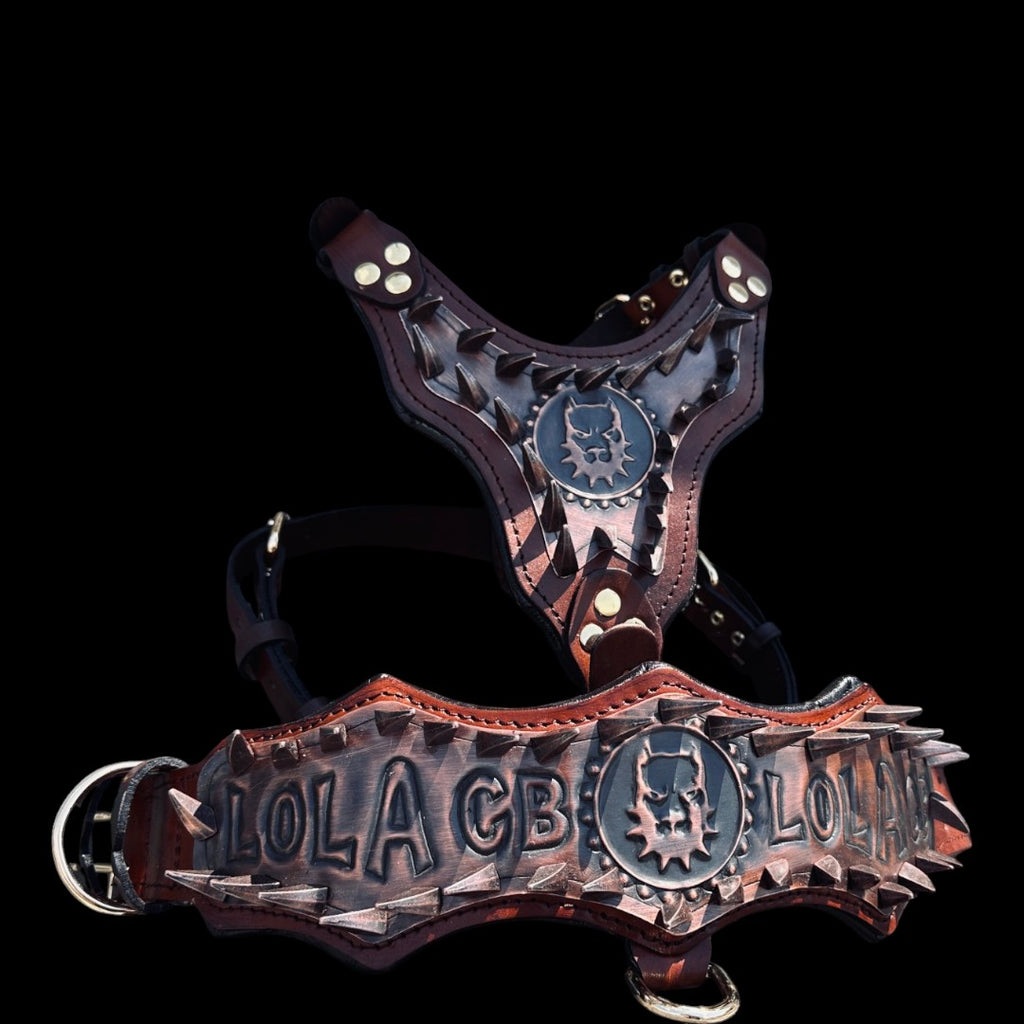 Handmade Copper Dog Collar & Harness Set – Personalized Spiked Leather Set for Large Dogs
