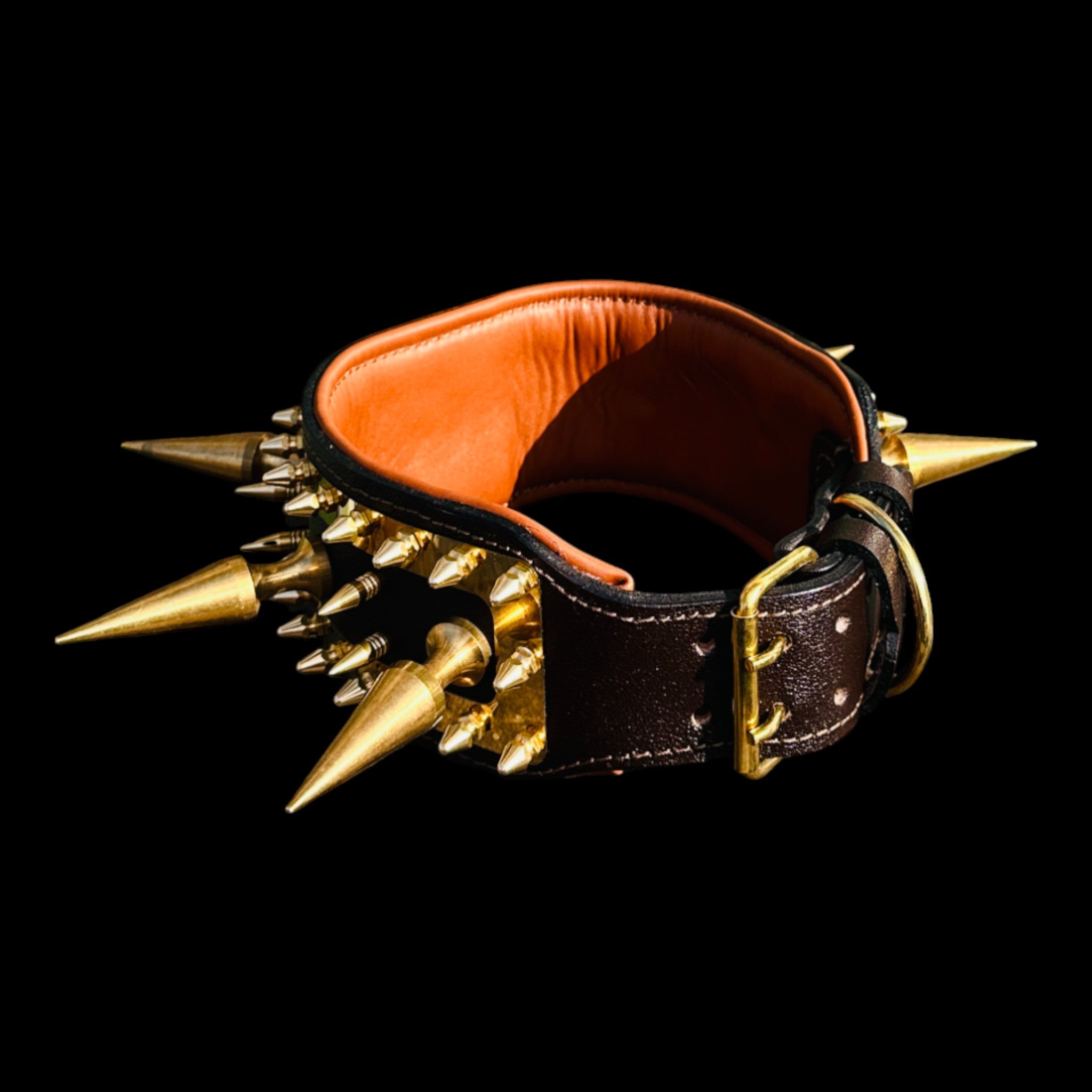 American Bully luxury handmade spiked collar