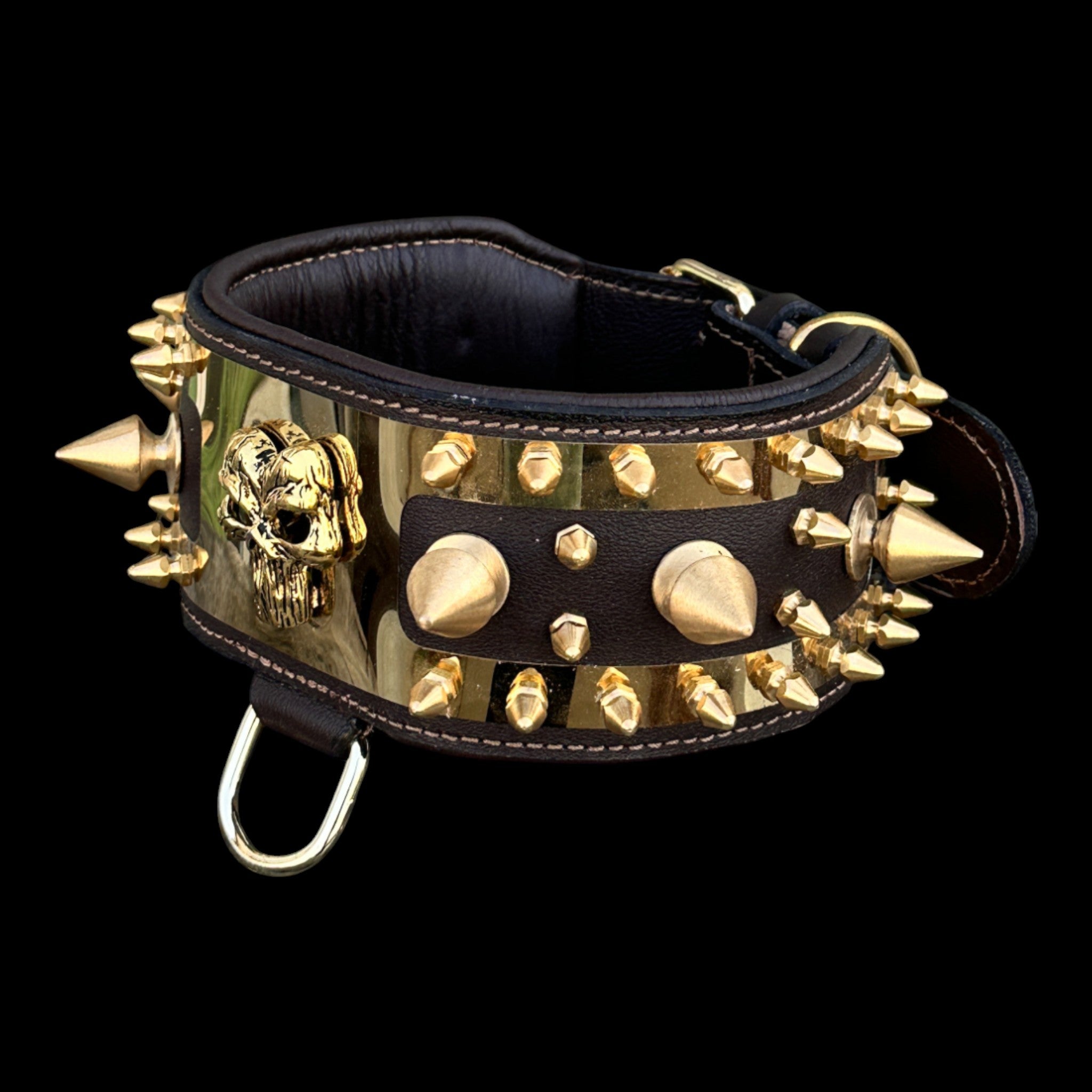Golden Punisher Elite Dog Collar