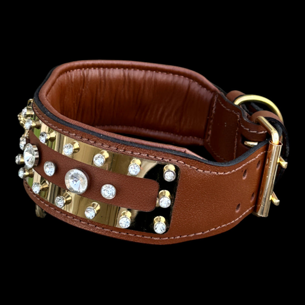 Premium buffalo leather gold dog collar for strong breeds