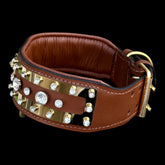 Premium buffalo leather gold dog collar for strong breeds