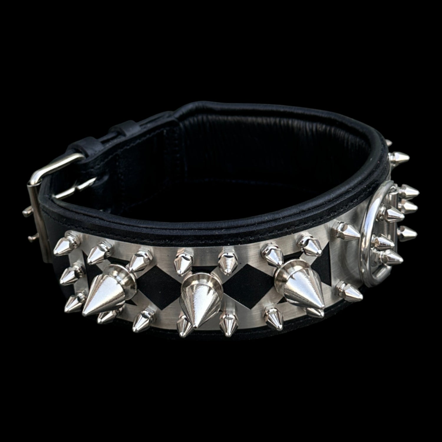 IRON BEAST 6 cm stainless collar shipped via UPS Express 2-3 days