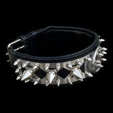 IRON BEAST 6 cm stainless collar shipped via UPS Express 2-3 days