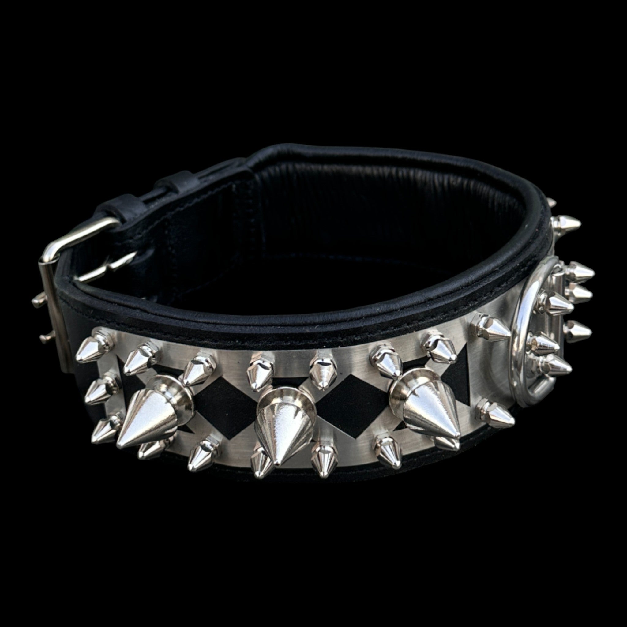 IRON BEAST 6 cm stainless collar shipped via UPS Express 2-3 days