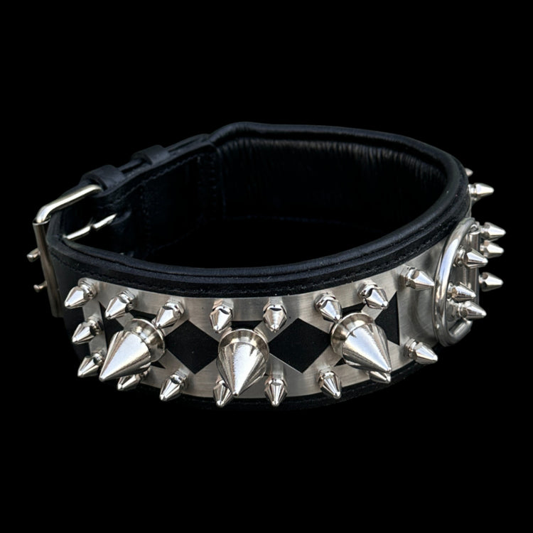 IRON BEAST 6 cm stainless collar shipped via UPS Express 2-3 days