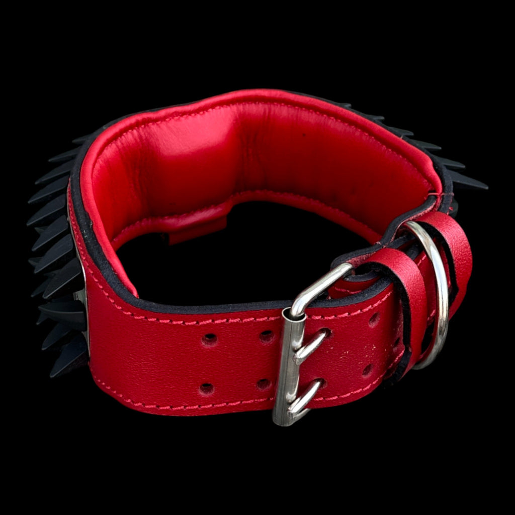 Strong breed stainless-steel lion dog collar for Cane Corso