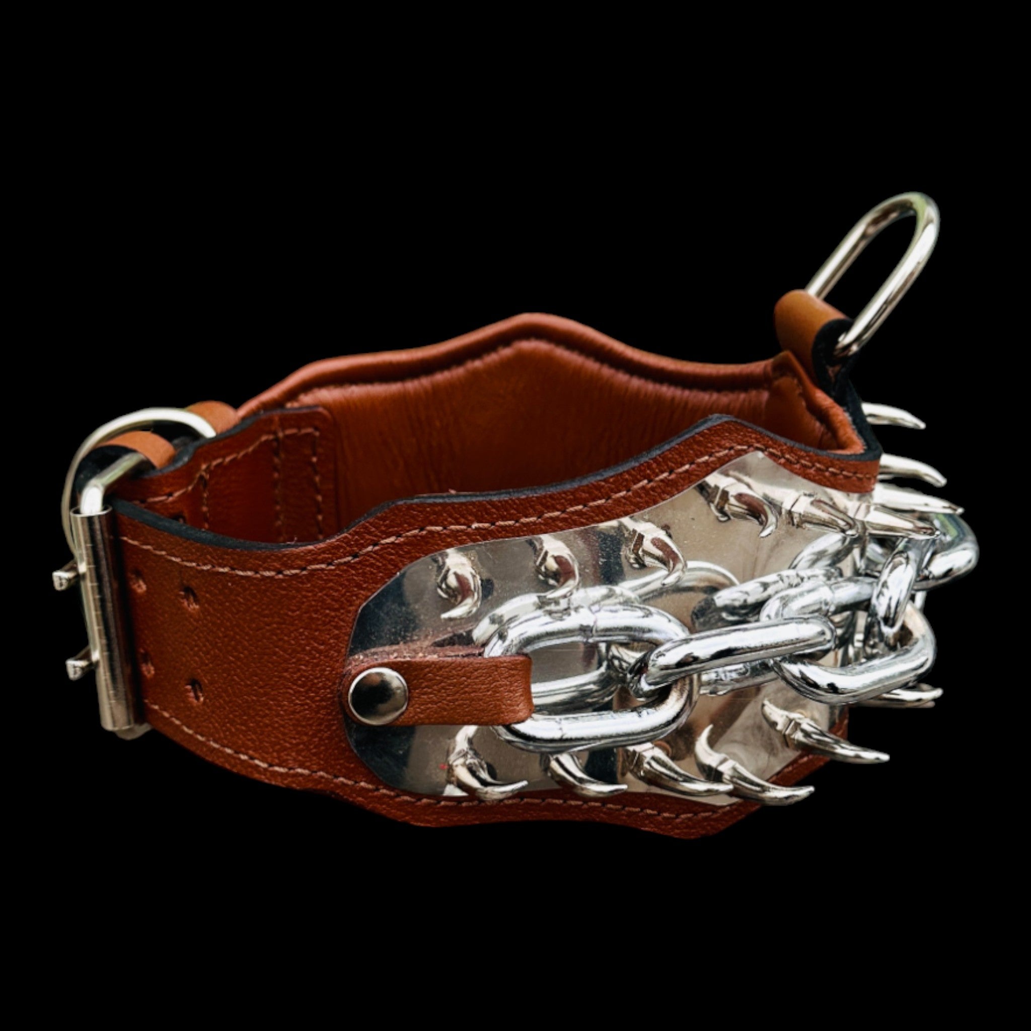 Premium handcrafted dog collar for Rottweiler.