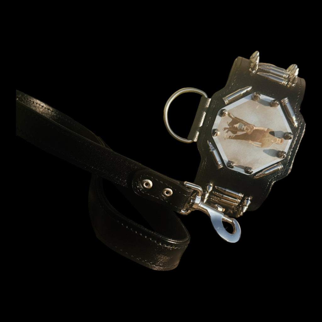 APEX edition heavy-duty dog collar for strong breeds