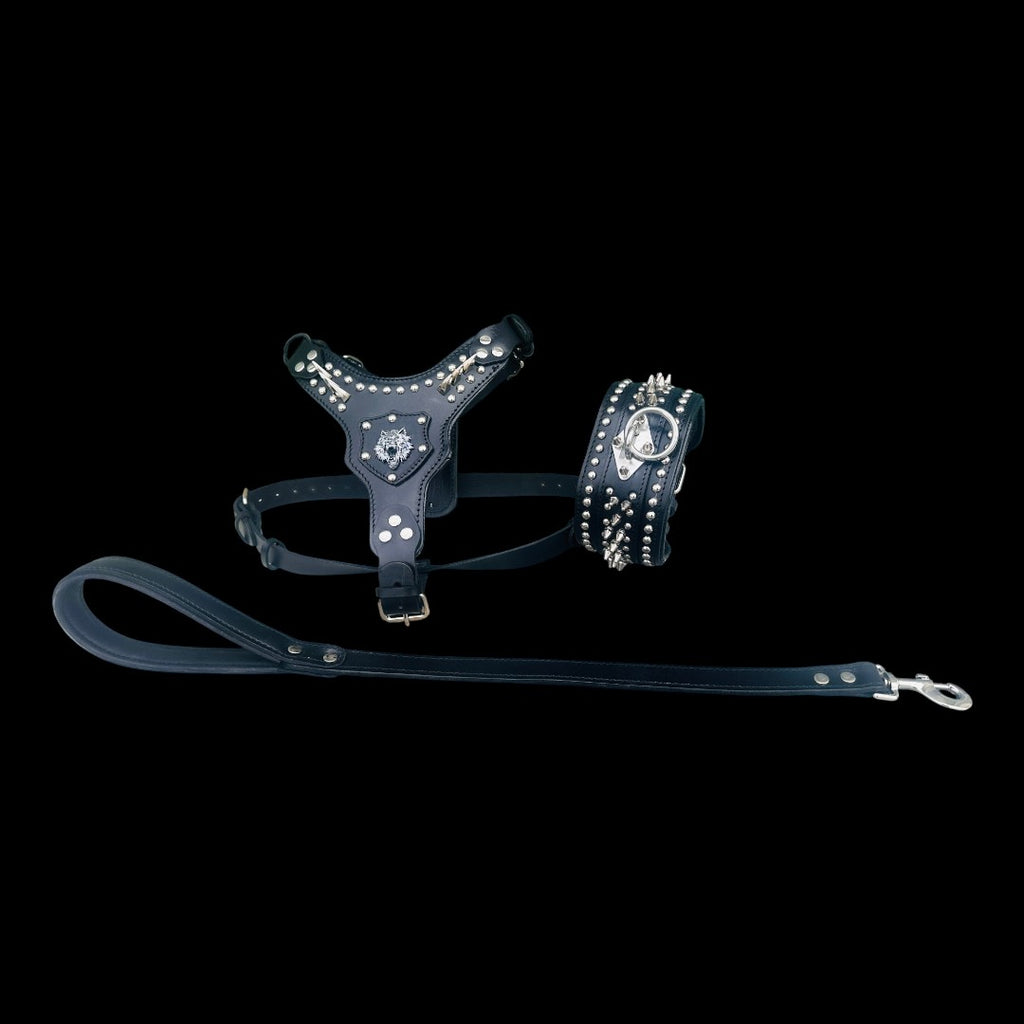 Black Leather Dog Collar, Harness & Leash Set – Handmade Spiked Large Breed Set