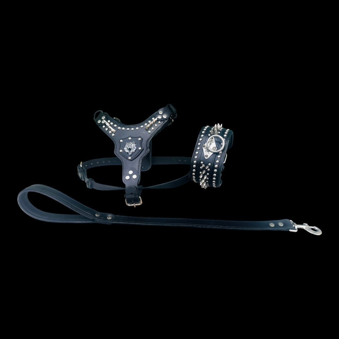 Black Leather Dog Collar, Harness & Leash Set – Handmade Spiked Large Breed Set