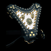 Luxury Handmade Dog Harness with Bully Head & Lion Logo – Black Leather, Gold Spikes, Heavy Duty for Large Breeds - A&C Dog Collars