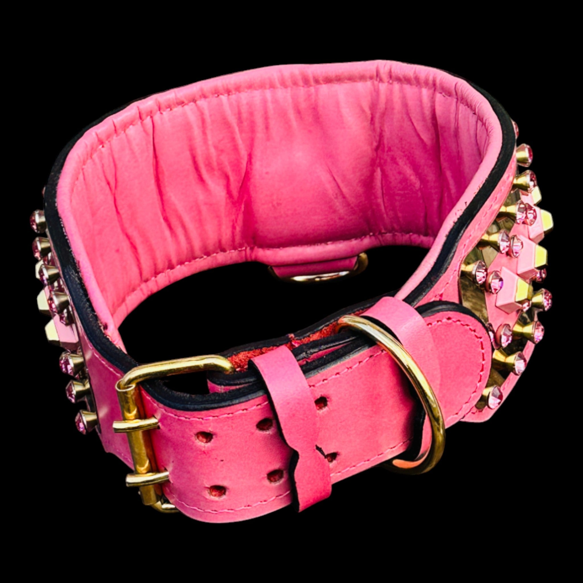 Cane Corso wearing pink crystal lion collar
