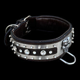 Elegant yet strong dog collar for Rottweiler and Kangal breeds
