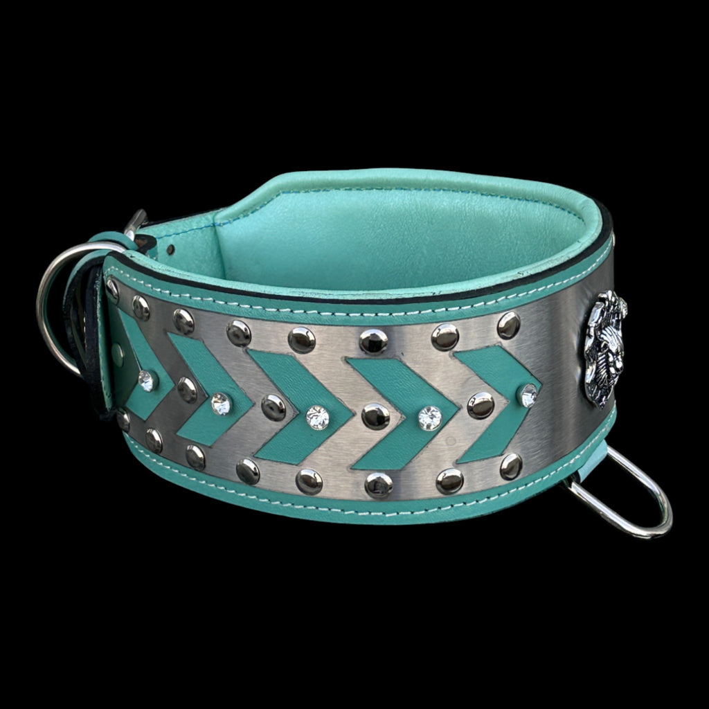 Elegant turquoise collar for Cane Corso and Rottweiler